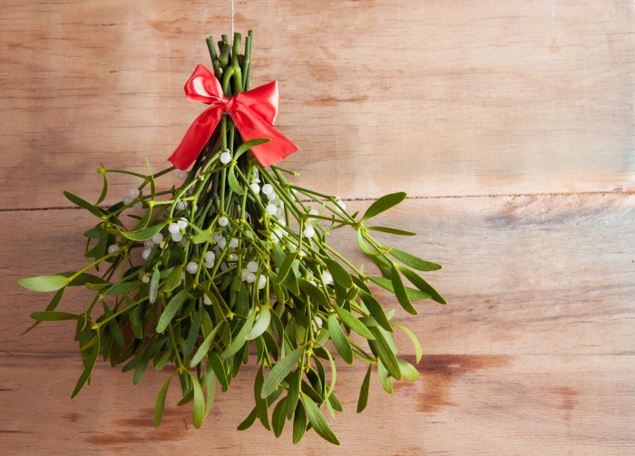 Mistletoe berries